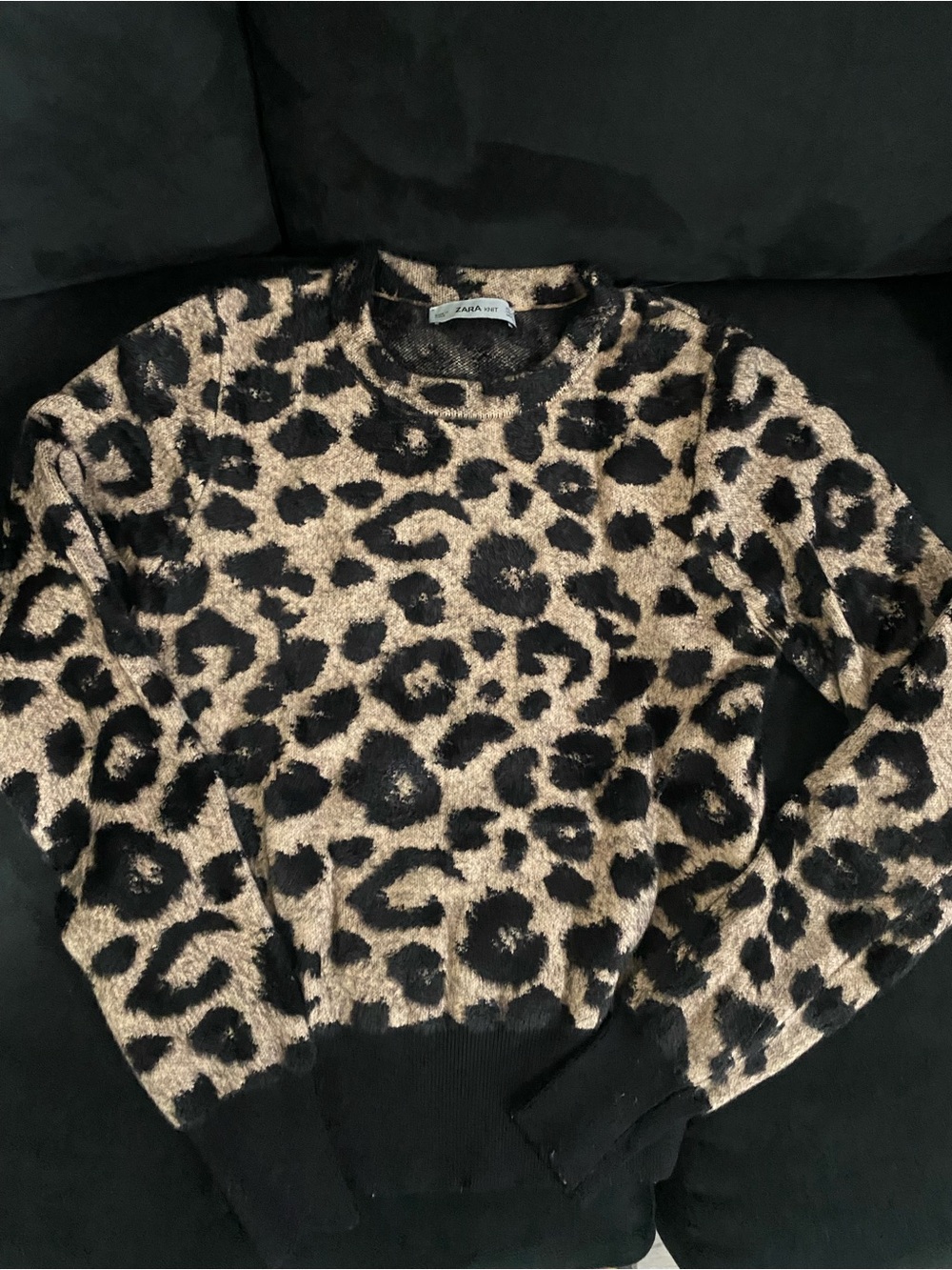 Zara Leopard Crewneck Sweater in Beige and Black
